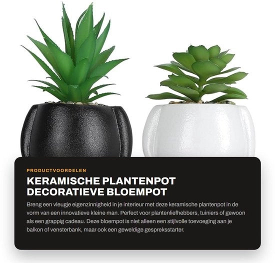 Vaso di Pianta Innovativo Piccolo - Vaso Decorativo per Piante - Vaso di Pianta Compresso - Regalo per Amanti delle Piante - Esperienza d'Acqua Unica