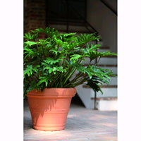 Vaso + Sottovaso in Resina Doppio Bordo Liscio Color Terracotta Impruneta 35 cm