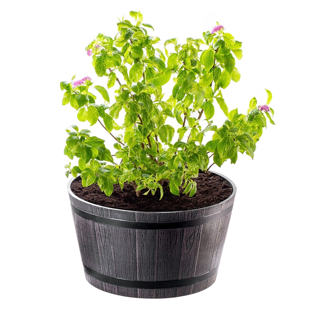 Vaso da fiori KADAX, grande vaso da giardino per terrazzo, copertura per fiori, vaso rotondo da 40 cm