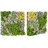 Pannelli da Parete per Piante Artificiali 50 x 50 cm, 2 Pezzi Finti Piatti per Piante con Foglie da Interno ed Esterno, Decorazioni da Pareti, Balconi, Giardini e Matrimoni (Stile 1)