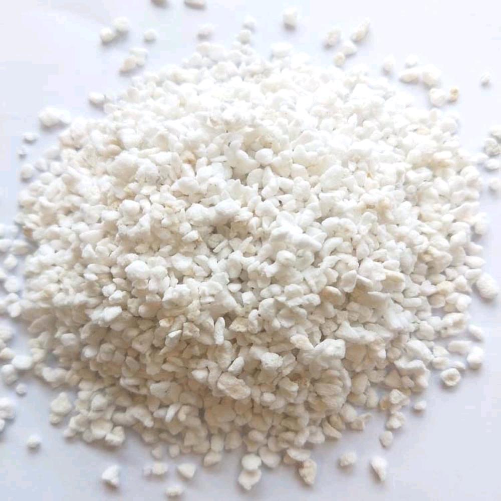 Perlite espansa da 5 litri per piante substrato ammendante per coltivazione in vaso