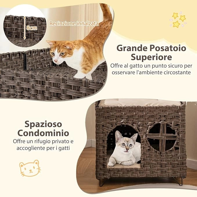Casetta per Gatti in Rattan 50,5 x 45 x 50 cm, Cuccia a 2 Piani per Gatti con 2 Cuscini, Letto per Animali Domestici per Camera da Letto e Soggiorno