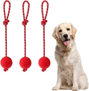 Tre pezzi di pallone da gioco per cani in gomma naturale con corda, pallone morbido e elastico per cani, gioco per cani con corda, adatto per cani, per allenamento, gioco