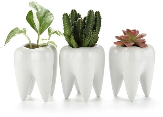 Set di 3 Mini vasi per piante in ceramica a forma di dente, bianchi, ideali per cactus, vasi per fiori per giardino, ufficio, bureau, decorazione, pen holder, regalo creativo per compleanni, matrimoni, Natale.