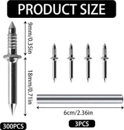 Assortimento di Spicchi - Set di Viti da Parete, Spicchi a Testa Piana, Spicchi per Fotografie da Parete, Viti da Parete, Assortimento di Hardware Spicchi da 300
