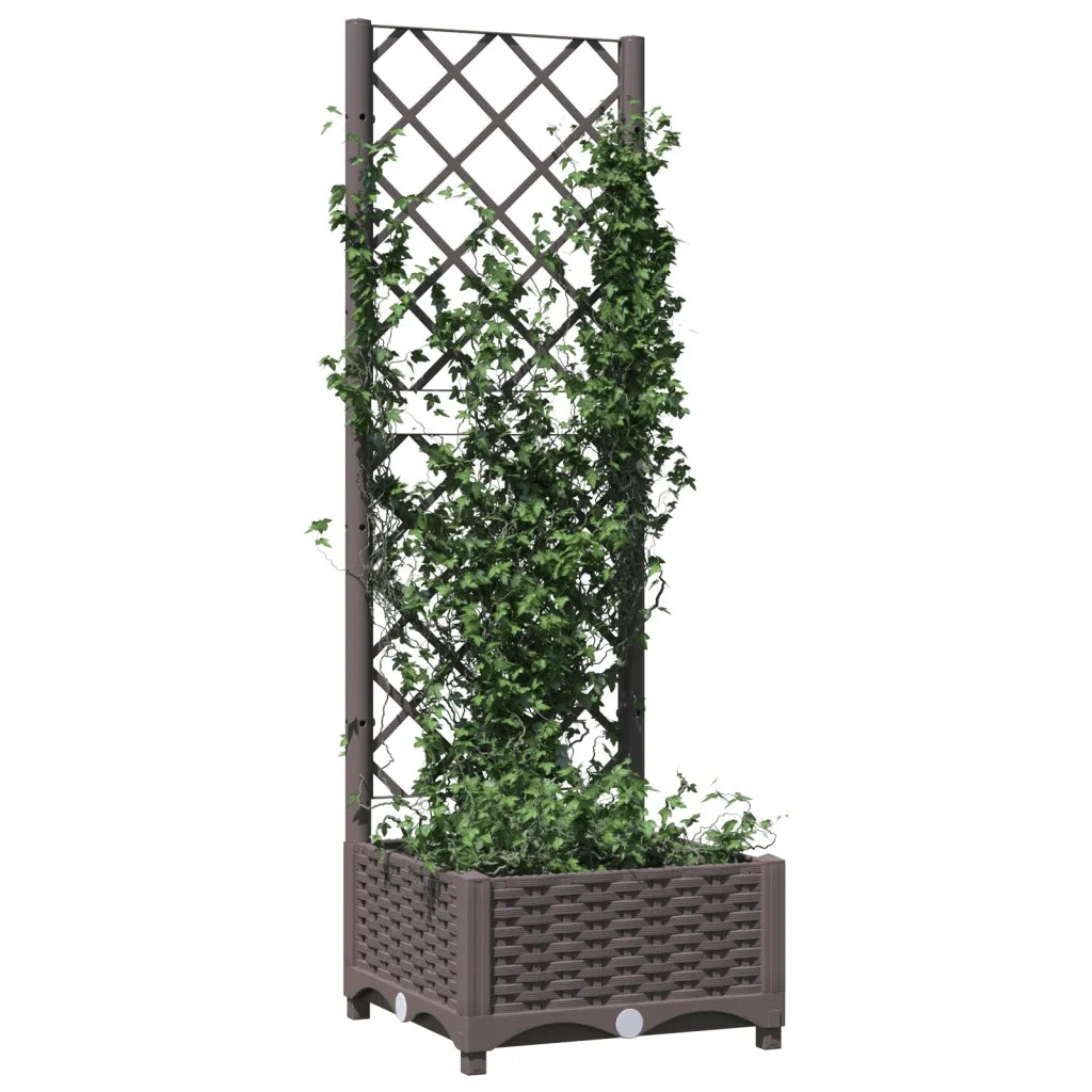 Fioriera | Cassetta per fiori | Vaso da Giardino con Graticcio Marrone 40x40x121,5 cm in PP