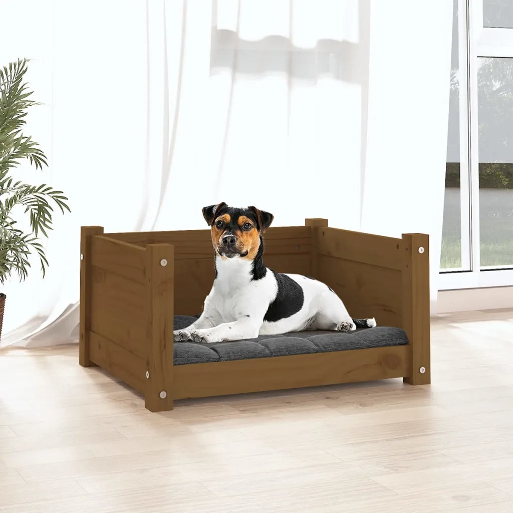 Cuccia per Cani Ambra 55,5x45,5x28 cm Legno Massello di Pino CFW3815526