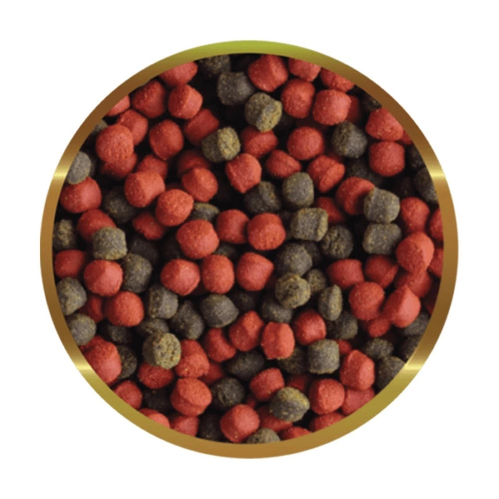 SHG Premium Marino Large Formato: 125 gr