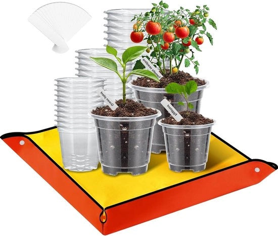 Set di Piantine - Contenitori per Semi con Materia di Rimpallamento - 30 pezzi - Diverse Dimensioni - Translucido