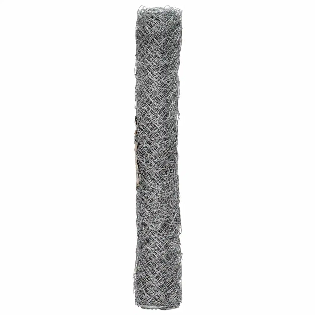Recinzione a rete metallica Galvanizzato 2 x 20 m Vetro