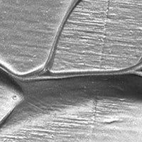 PASTA METALLO ARGENTO 130ML TO