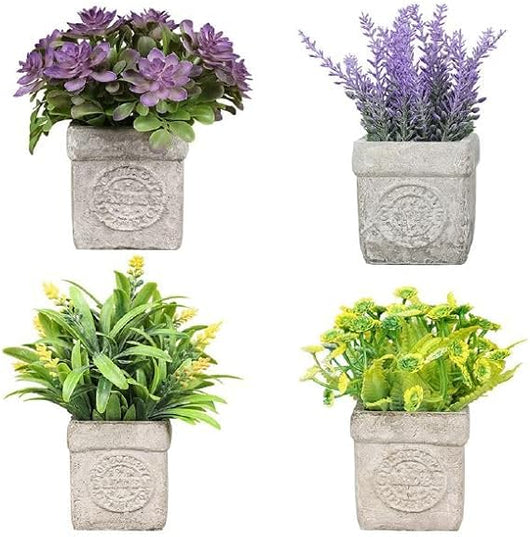 Piantine Artificiali da interno Set 4 Pz In Scatola Trasparente Di Acetato King Home 