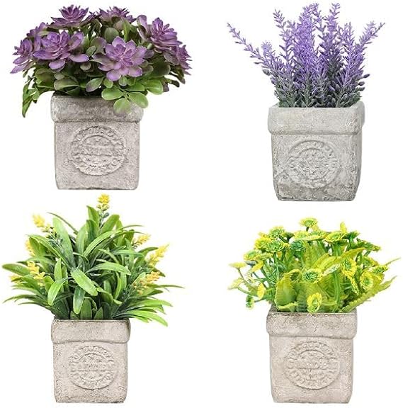 Piantine Artificiali da interno Set 4 Pz In Scatola Trasparente Di Acetato King Home 