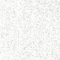 FINITURA GLITTER SILV.GLA