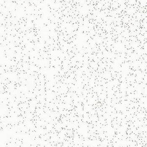 FINITURA GLITTER SILV.GLA