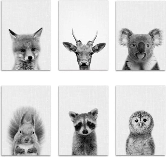 Set di 6 poster per bambini con tema animale per la camera dei bambini - foto decorative - poster per camera da letto dei bambini - A4 - poster per parete per bambini ragazzi e ragazze.