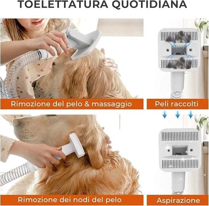 CAREPET Kit Toelettatura Asciugatura e Aspira peli per Animali Domestici