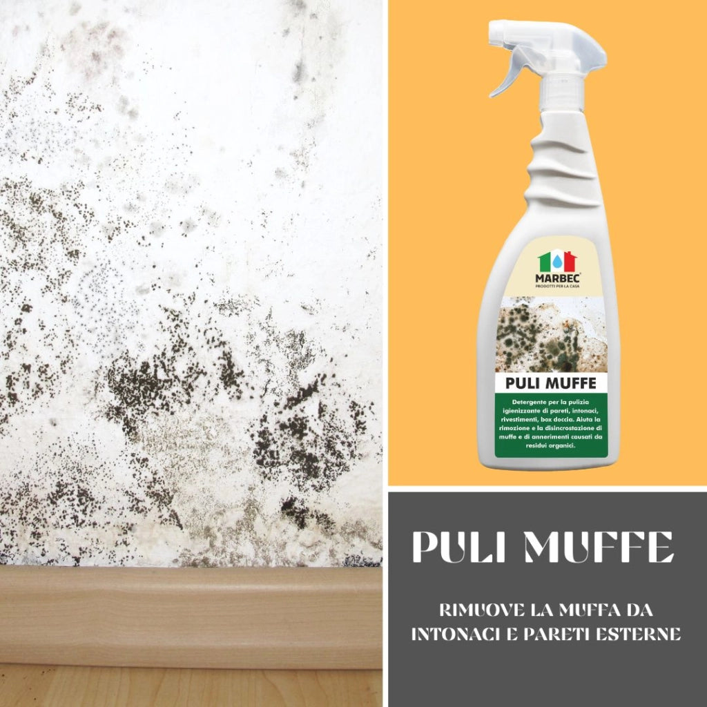 Detergente per rimuovere muffa PULI MUFFE   5LTx4Pz
