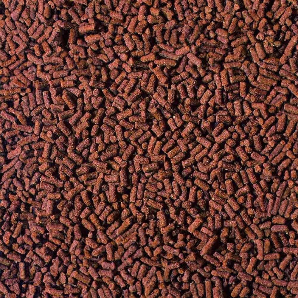 Hikari Crab Cuisine 50gr - Pellet Completo per tutti Crostacei-Paguri, Gamberetti, Granchi ed altre Specie