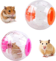 Corso per hamster in plastica trasparente per ratti e gerbili (119 cm)