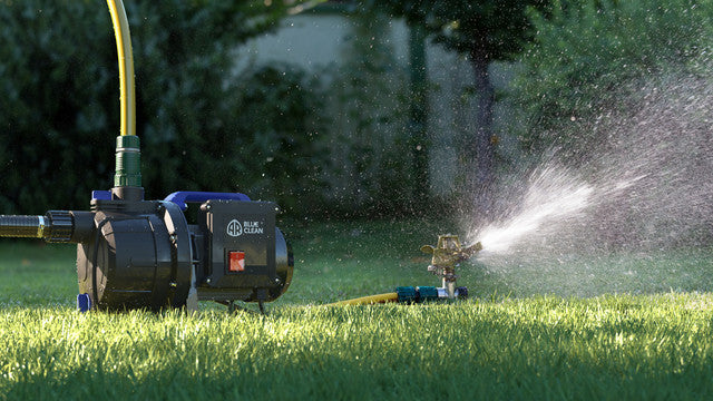 AR Blue Clean ARGP 600P Pompa Autoadescante per Acque Chiare (600 W, Portata max. 3.100 l/h, Prevalenza max. 35 m)