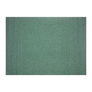 PASSATOIA PASSAT H 67 CM VERDE- ALMA- 30,0 ml