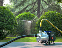 AR Blue Clean ARGP 800X Pompa Autoadescante per Acque Chiare (800 W, Portata max. 3.500 l/h, Prevalenza max. 38 m) 