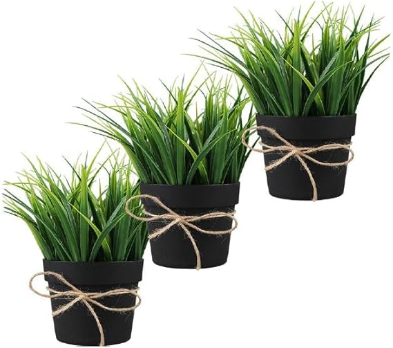 Piantine da interno Artificiali Set 3 Pz In Scatola Trasparente Di Acetato King Home 