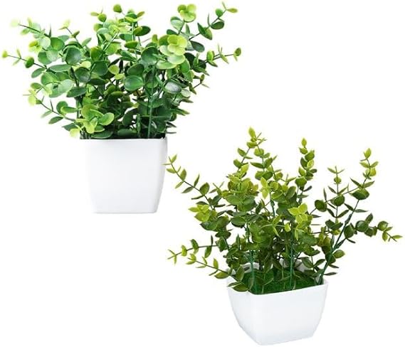 Piantine Artificiali Set 2 Pz In Scatola Trasparente Di Acetato King Home 