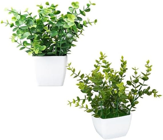 Piantine Artificiali Set 2 Pz In Scatola Trasparente Di Acetato King Home 