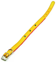 Utilia Pet COLLARE IN CUOIO FELPATO CON BORCHIE cm. 51x2,5 col. Assortiti 6.00 pz