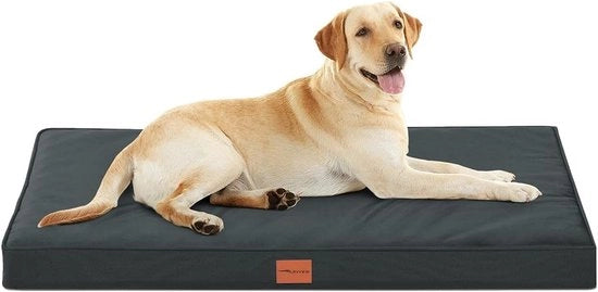 Cuscino ortopedico per cani di grandi dimensioni con base rimovibile e lavabile, copertura antiscivolo e impermeabile, 112 x 81 x 76 cm, colore grigio