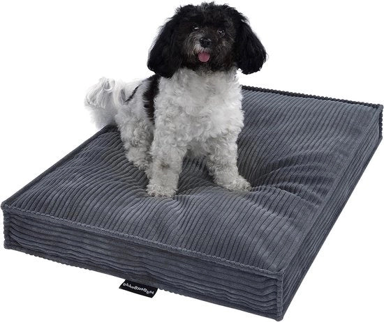 Cuscino per cani Visco grigio 60x40 cm S con tessuto corduroy POSO, lavabile a 40 °C - per piccoli cani o gatti