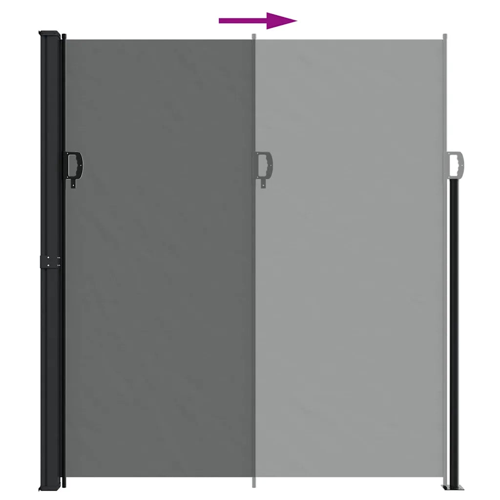 Tenda da Sole Laterale Retrattile-Tenda parasole per balcone per giardino antracite 220x300 cm