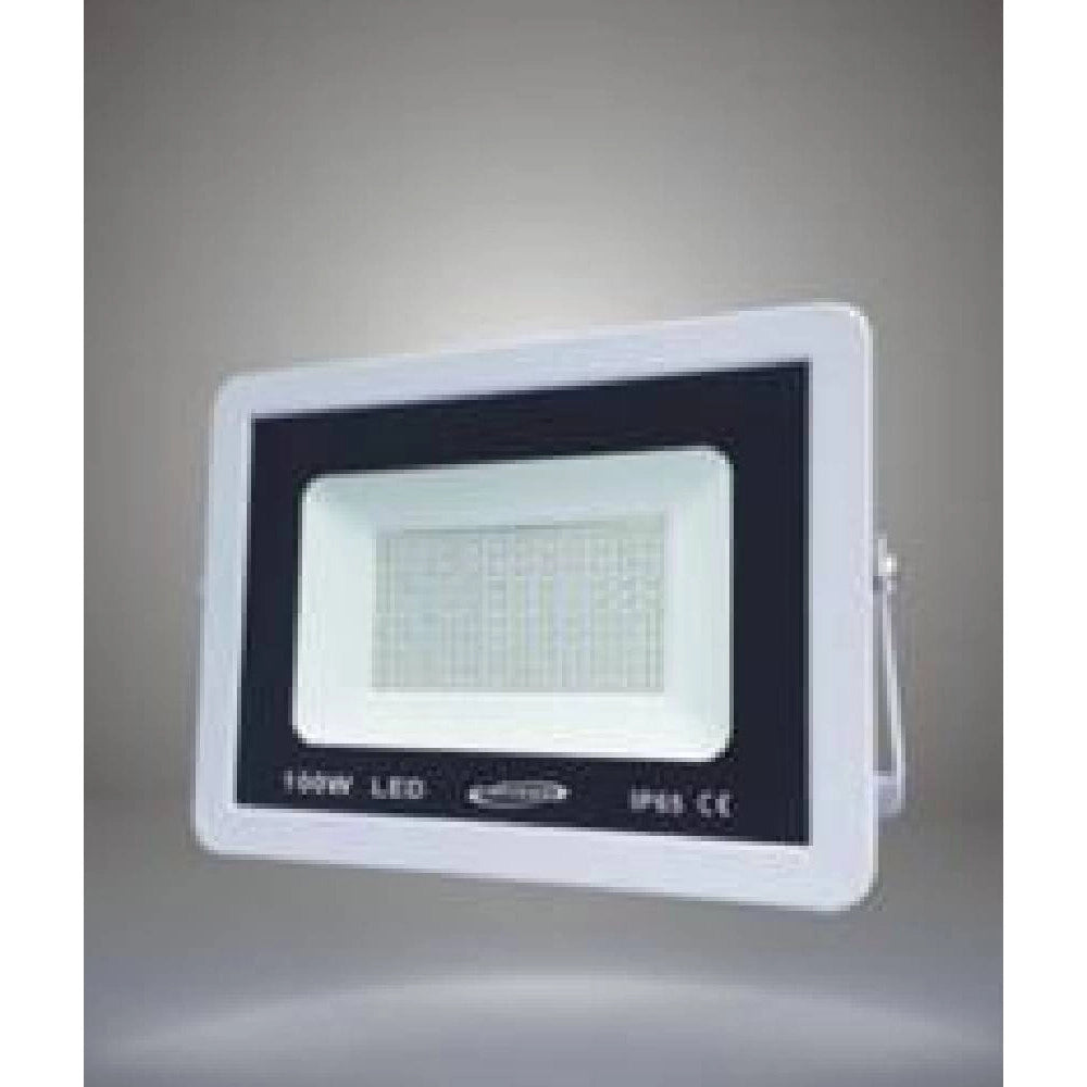 Trade Shop - Faretto Led Proiettore Esterno 100w Bianco Ip65 Luce 6500k 4000k 3000k F100w -