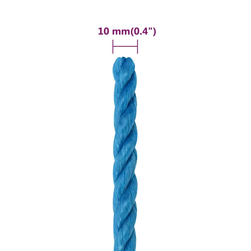 Corda da Lavoro Blu 10 mm 25 m in Polipropilene 152972