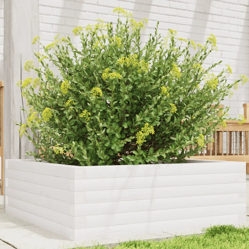 Fioriera | Cassetta per fiori | Vaso da Giardino Bianca 70x70x23 cm Legno Massello di Pino