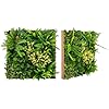 Pannelli da Parete per Piante Artificiali 50 x 50 cm, 2 Pezzi Finti Piatti per Piante con Foglie da Interno ed Esterno, Decorazioni da Pareti, Balconi, Giardini e Matrimoni (Stile 2)