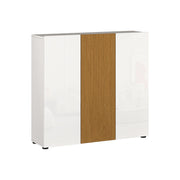 Mobile Portascarpe Palasio, Scarpiera 24 Paia Made in Italy, 120x34x115h cm Bianco Lucido