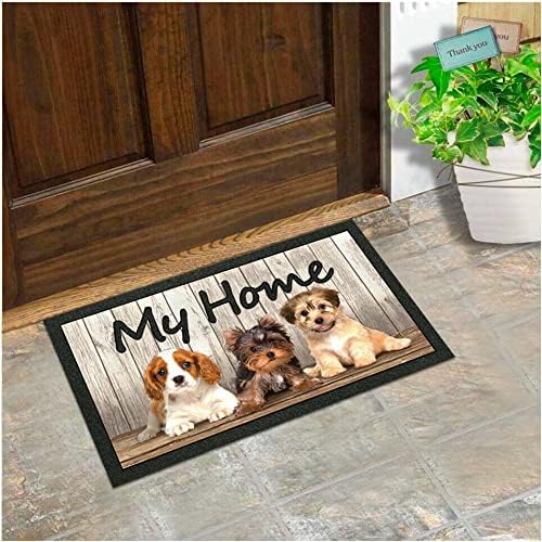 Zerbino Ingresso 40x70 Asciugapassi Antiscivolo Moderno Made In Italy Dis.C