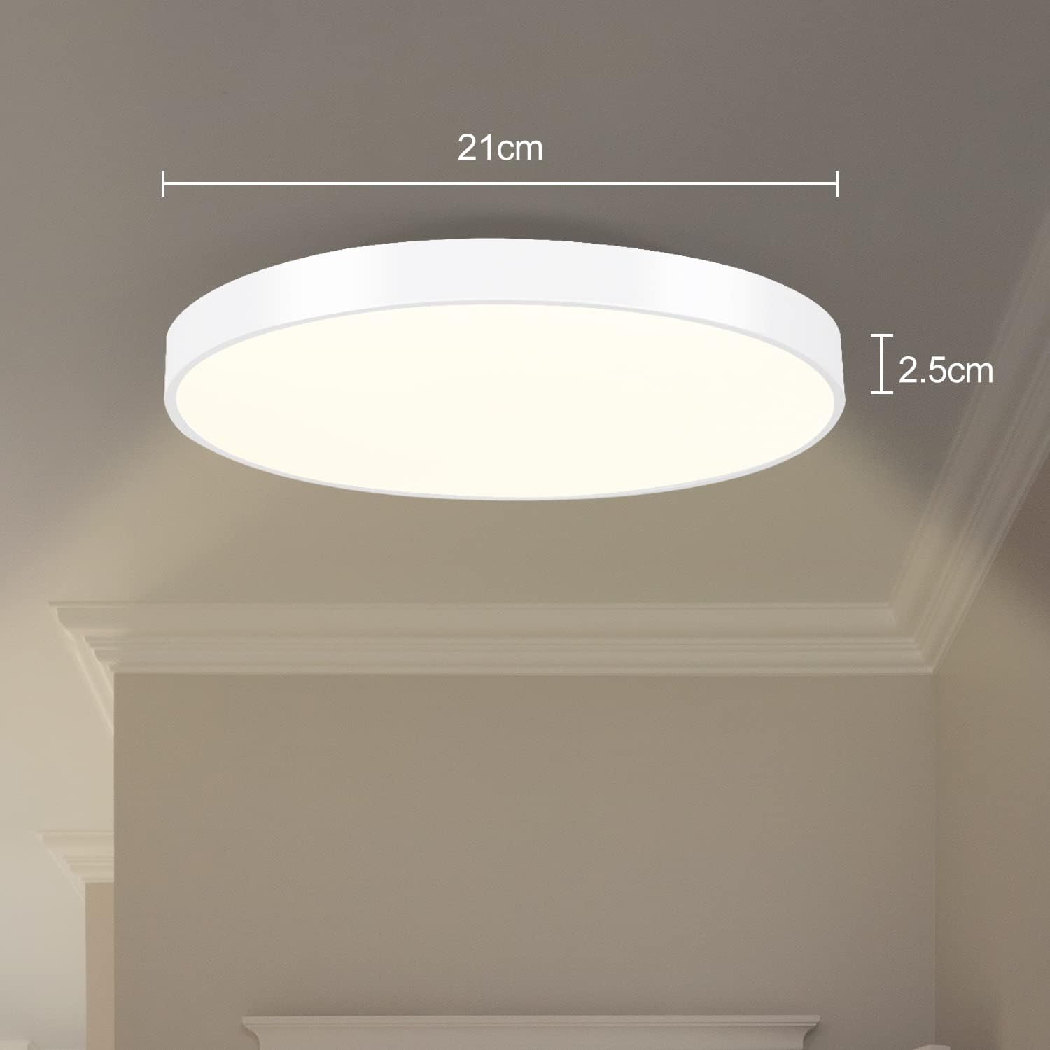 ZMH Lampada da soffitto plafoniera LED 12W bianco caldo IP44 21cm moderna per cucina