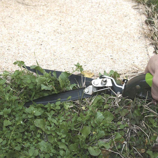 FORBICE PER ERBA tagliare il prato LAMA FISSA VERDEMAX