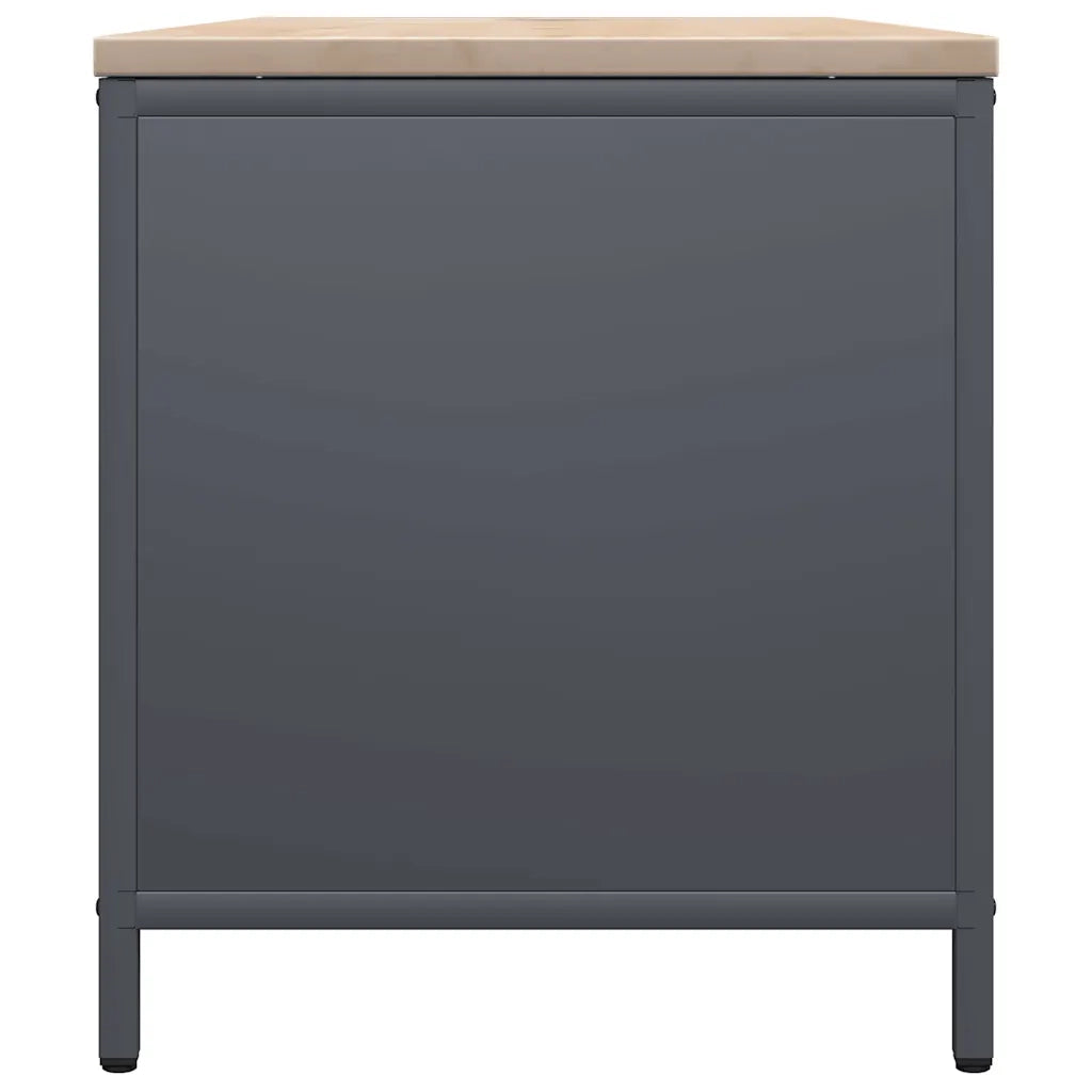 Rastrelliera Legna da Ardere con Piano Antracite 100x40x60 cm 864257