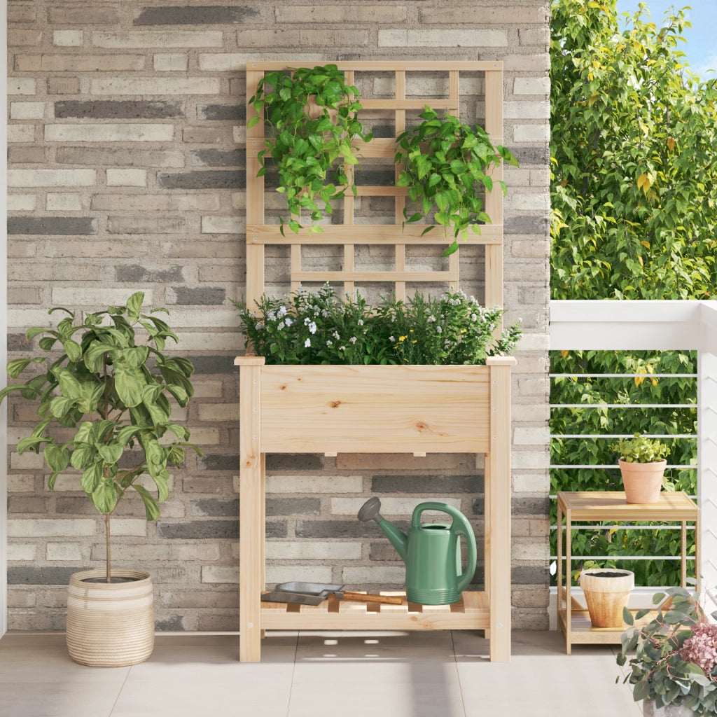 Fioriera da Giardino con Trellis e Ripiano 71x37x152 cm in Legno Massello di Abete