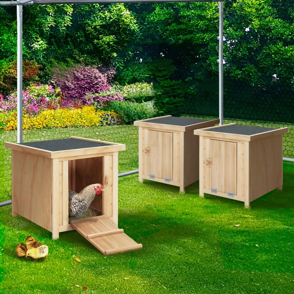 Set di 3 chiavi in legno per galline nido con fondo