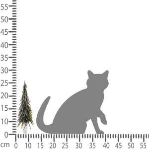 Abete 26Cm  Green With Silver