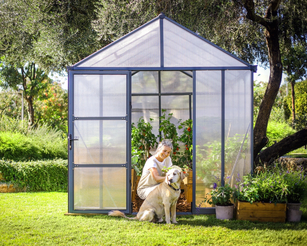 Glory Serra Da Giardino in Policarbonato di Premium 364X253X268 cm