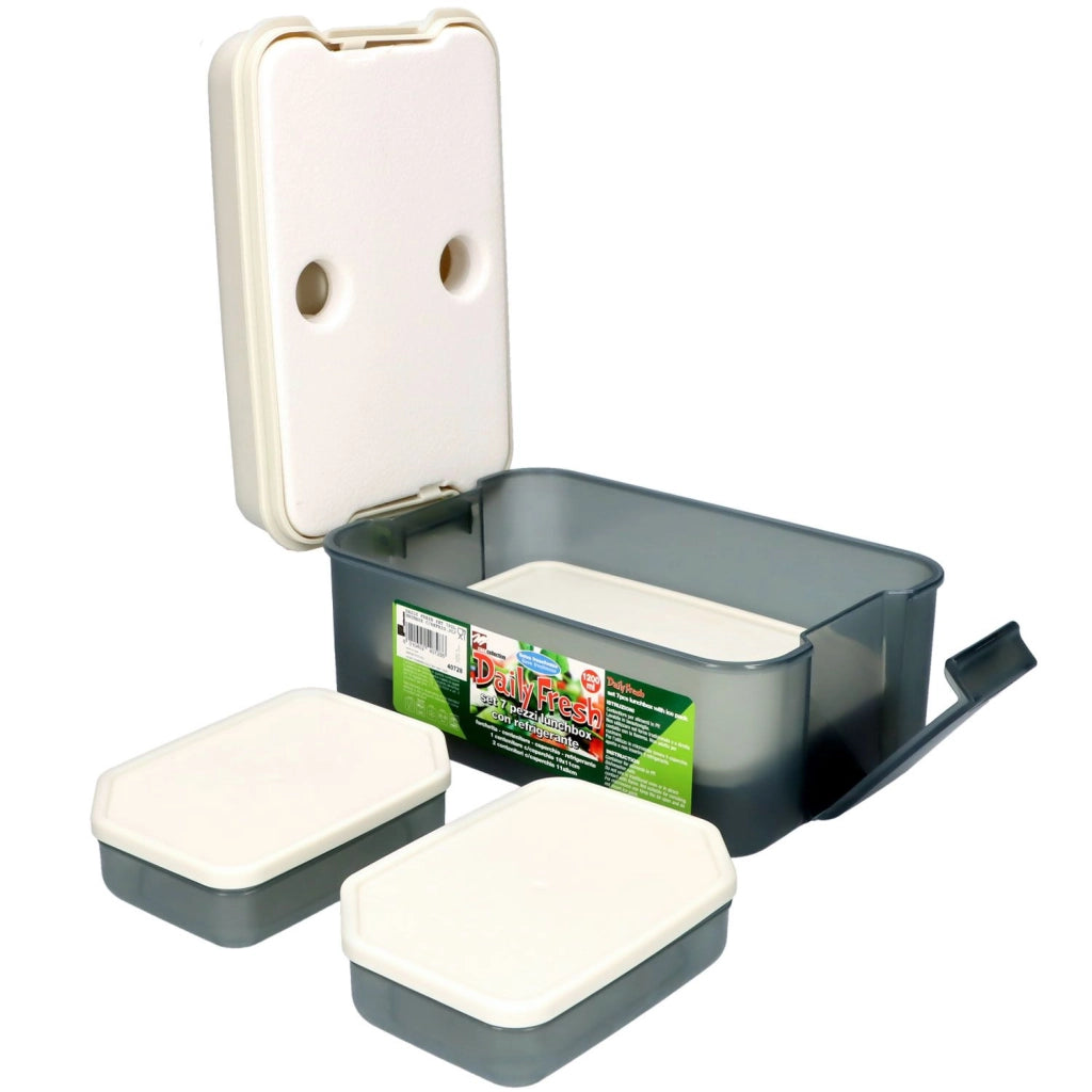 Lunch box con refrigerante 7 pz Daily Fresh