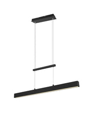 Lampada a Sospensione da Interno a LED in Metallo Nero Opaco