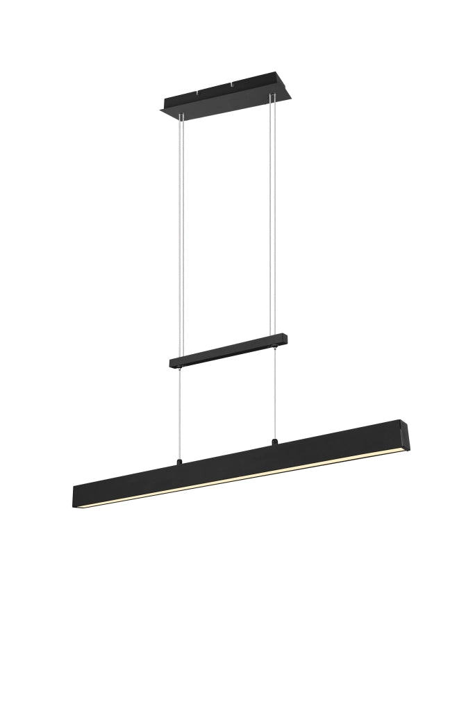 Lampada a Sospensione da Interno a LED in Metallo Nero Opaco